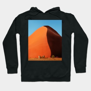 Out of Namibia Hoodie